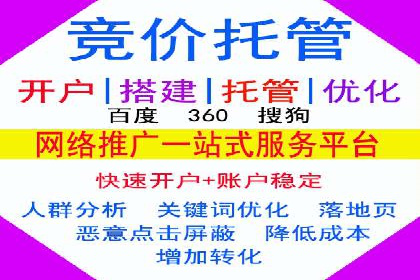 成功SEM代理案例：精准投放的策略
