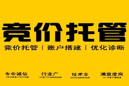 百度搜索结果优化：SEO推广的经典案例